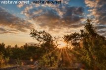 varhaisaamu-metsikossa