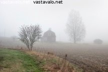 sumuinen-aamu