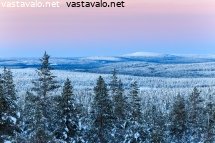 aamun-viimeiset-savyt