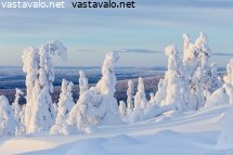 yllaksen-talvimaisema