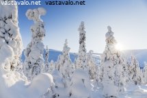 yllaksen-talvimaisema