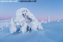 viimeiset-valot