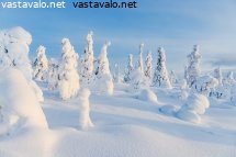 tykkyja-tunturin-rinteella