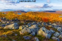 aamuvalo
