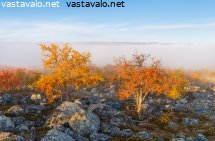 usvan-ylapuolella