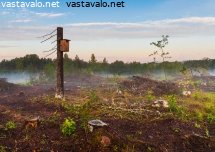 pesa-ja-avohakkuu