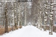yksin