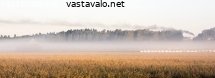 aamun-tupruttaja