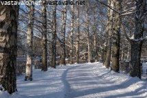 koivukuja-hautausmaalla