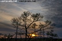 ilta-suolla