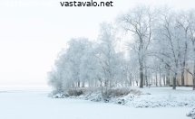 rantapuisto-pakkaspaivana