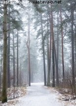 lenkkipolku-tampereen-lapissa