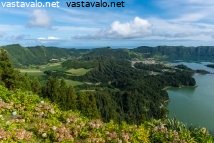 jarvi-azoreilla