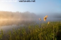 kesaaaamu-lammen-rannalla