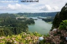 jarvi-azoreilla