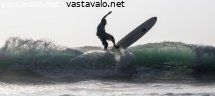 surffari-aallonharjalla