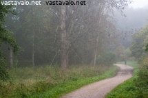 aamun-lenkkeilija-sulautuu-maisemaan