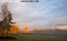 valo-puissa
