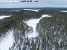 metsalammet-lumen-alla