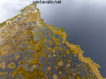 suo-tulvii-lammen-rannalla