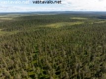 koitelaisenkairaa