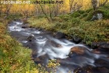 tunturipuron-syksya