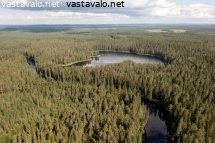 jongunjoki-virtaa-halki-saloseutujen
