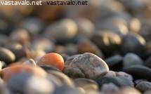 Koukku ylös valta meri jouset