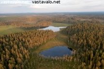 metsien-ja-soiden-mosaiikkia