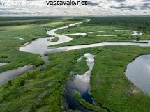 pihtijoen-luhta