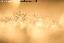 jaakiteiden-loistoa-hangella-1