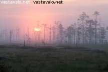 aurinko-nousee-patvinsuolla