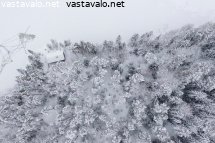 rantasauna-ja-lumista-metsaa