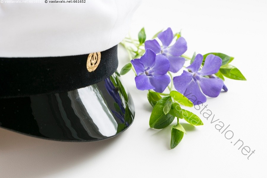 Kuva Sinisiä kukkia ylioppilaalle ylioppilaslakki valkolakki lakki