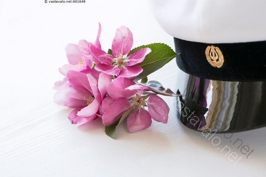 Kuva Onnea ylioppilaalle ylioppilaslakki valkolakki lakki