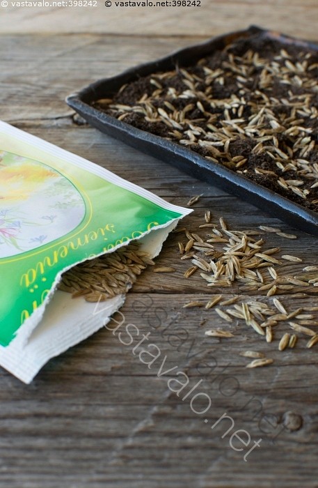 vapaa puusy kuvia seksikäs teini-ikäinen tyttö mallit