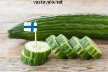 suomalaista-kurkkua