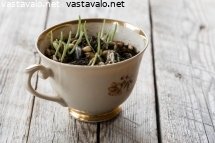 paasiaiskylvos-kahvikupissa