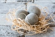 betonimunia