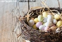 paasiaskarkit-pesassa