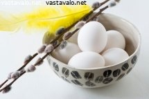 munia-ja-pajunkissoja