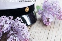 ylioppilaan-lakki