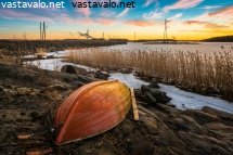vene