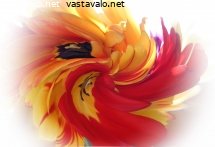haviavaa-kauneutta
