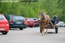 kulkupeleja