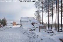 metsatalous-vai-virkistyskaytto