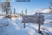metsatalous-vai-virkistyskaytto