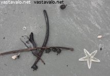 tahti-rannalla