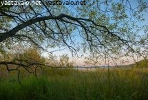 kaislikon-keskella