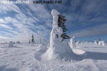 maaliskuu-tunturissa